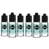 6 Bouteilles Logic LQD 0 Mg/ml - Menthe Glaciale -Fournitures Pour Fumeurs 6 bouteilles logic lqd 0 mg ml menthe glaciale
