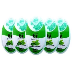 BilleBox - 5 Boites De 100 Billes Aromatisées Menthe Chlorophylle